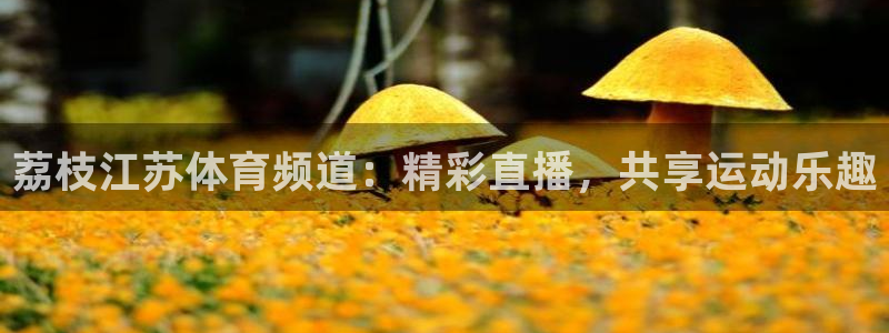 荔枝江苏体育频道：精彩直播，共享运动乐趣