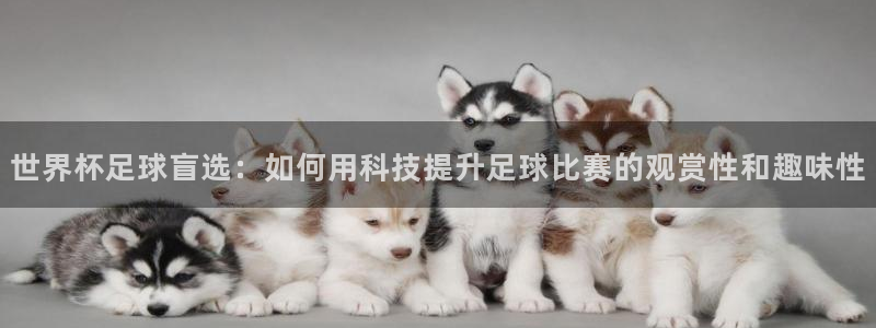 世界杯足球盲选：如何用科技提升足球比赛的