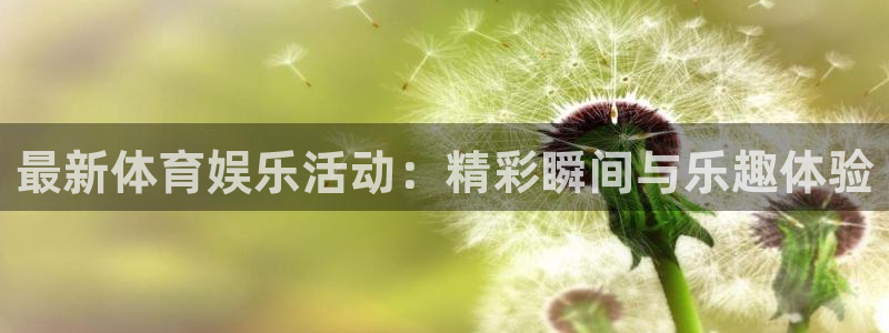 最新体育娱乐活动：精彩瞬间与乐趣体验