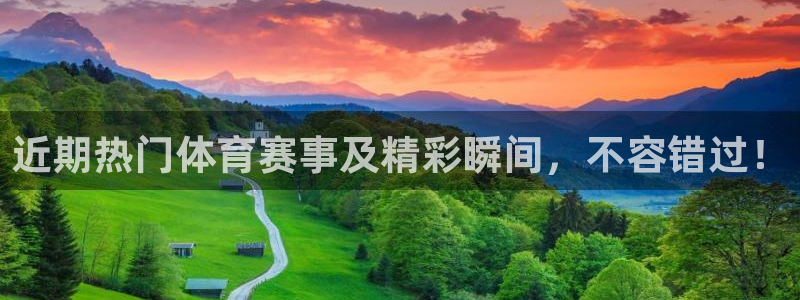 近期热门体育赛事及精彩瞬间，不容错过！